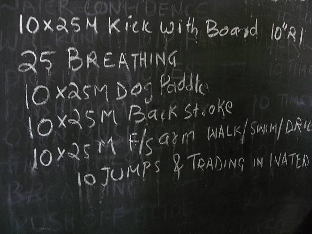 swimlesson